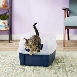 Frisco Plastic Litter Scooper With Caddy & IRIS USA Open Top Litter Box With Scatter Shield -Trixie || Catit || Nature's Miracle Shop 298166 PT6. AC SS1800 V1623202669