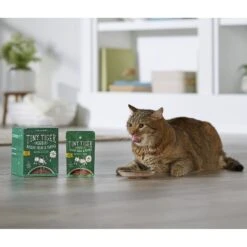 Tiny Tiger Lickables, Senior Formula, Tuna & Chicken Recipe, Bisque Cat Treat & Topper 14 Tiny Tiger Lickables, Senior Formula, Tuna & Chicken Recipe, Bisque Cat Treat & Topper -Trixie || Catit || Nature's Miracle Shop 299260 PT4. AC SS1800 V1632946042