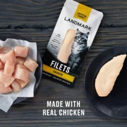 American Journey Landmark Chicken Filets Natural Cat Treat, 1.06-oz, Pack Of 10 -Trixie || Catit || Nature's Miracle Shop 306679 PT2. AC SS1800 V1633370334