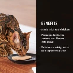 American Journey Landmark Chicken Filets Natural Cat Treat, 1.06-oz, Pack Of 10 -Trixie || Catit || Nature's Miracle Shop 306679 PT3. AC SS1800 V1633370327