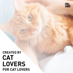 Cat Space Odor Gone Cat Spray, 17-oz Bottle -Trixie || Catit || Nature's Miracle Shop 307896 PT4. AC SS1800 V1624662479