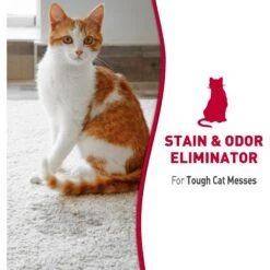 Nature's Miracle Advanced Cat Enzymatic Stain Remover & Odor Eliminator Foam, 17.5-oz Bottle 10 Nature's Miracle Advanced Cat Enzymatic Stain Remover & Odor Eliminator Foam, 17.5-oz Bottle -Trixie || Catit || Nature's Miracle Shop 307967 PT2. AC SS1800 V1627347712