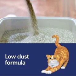 Fresh Step Outstretch Concentrated Unscented Clumping Clay Cat Litter, 19-lb Box 19 Fresh Step Outstretch Concentrated Unscented Clumping Clay Cat Litter, 19-lb Box -Trixie || Catit || Nature's Miracle Shop 308949 PT8. AC SS1800 V1694458886