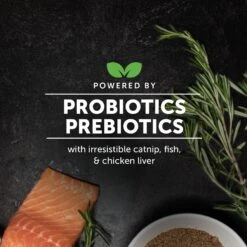 PetHonesty Digestive Probiotics+ Premium Gut + Immune Health Cat Supplement -Trixie || Catit || Nature's Miracle Shop 309756 PT5. AC SS1800 V1690997254