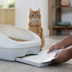 Frisco Cat Litter Pads, Scented 14 Frisco Cat Litter Pads, Scented -Trixie || Catit || Nature's Miracle Shop 309828 PT5. AC SS1800 V1675280050