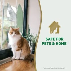 Nature's Miracle Cat Urine Destroyer Plus Enzymatic Stain Remover Foam Aerosol Spray, 17.5-oz Bottle 18 Nature's Miracle Cat Urine Destroyer Plus Enzymatic Stain Remover Foam Aerosol Spray, 17.5-oz Bottle -Trixie || Catit || Nature's Miracle Shop 313854 PT7. AC SS1800 V1701116506