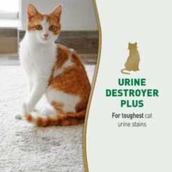 Nature's Miracle Cat Urine Destroyer Plus Enzymatic Formula Stain Remover Refill, 1-gal Bottle 17 Nature's Miracle Cat Urine Destroyer Plus Enzymatic Formula Stain Remover Refill, 1-gal Bottle -Trixie || Catit || Nature's Miracle Shop 313855 PT6. AC SS1800 V1701116482