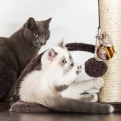 Pet Adobe 5-Tier 58.5-in Cat Tree & Condo -Trixie || Catit || Nature's Miracle Shop 314985 PT5. AC SS1800 V1626397620