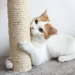 Pet Adobe Multi-Level 71.5-in Cat Tree & Condo -Trixie || Catit || Nature's Miracle Shop 315014 PT4. AC SS1800 V1626394575