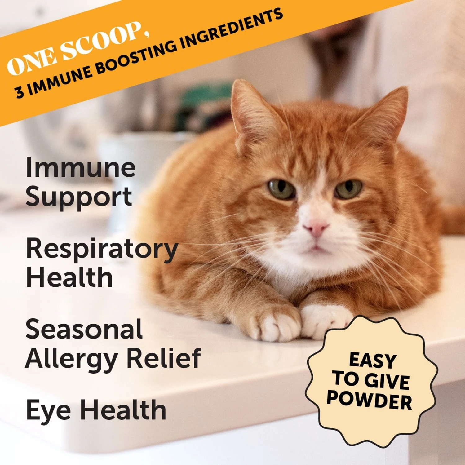 PetHonesty Lysine Immune Health+ Tuna & Chicken Flavored Powder Immune Supplement For Cats, 4.2-oz Bottle 4 PetHonesty Lysine Immune Health+ Tuna & Chicken Flavored Powder Immune Supplement For Cats, 4.2-oz Bottle - Image 2