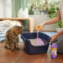 ARM & HAMMER PRODUCTS Calming Lavender & Vanilla Scent Cat Litter Box Deodorizing Crystals 11 ARM & HAMMER PRODUCTS Calming Lavender & Vanilla Scent Cat Litter Box Deodorizing Crystals -Trixie || Catit || Nature's Miracle Shop 315802 PT4. AC SS1800 V1680789562