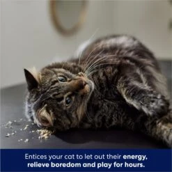 Frisco Natural Catnip -Trixie || Catit || Nature's Miracle Shop 316067 PT3. AC SS1800 V1683132277