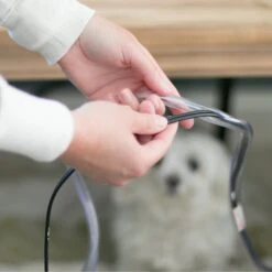 MyPet Safety Paws Ruff & Tuff Cord Protector For Dog & Cat, Clear 8 MyPet Safety Paws Ruff & Tuff Cord Protector For Dog & Cat, Clear -Trixie || Catit || Nature's Miracle Shop 319747 PT1. AC SS1800 V1635257598