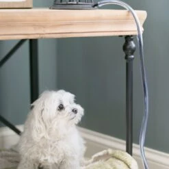 MyPet Safety Paws Ruff & Tuff Cord Protector For Dog & Cat, Clear 9 MyPet Safety Paws Ruff & Tuff Cord Protector For Dog & Cat, Clear -Trixie || Catit || Nature's Miracle Shop 319747 PT2. AC SS1800 V1635257486