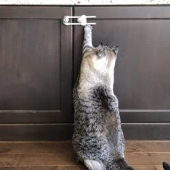 MyPet Safety Paws Grip & Glide Cabinet Locks For Dog & Cat, Gray, 3 Count -Trixie || Catit || Nature's Miracle Shop 319751 PT5. AC SS1800 V1635257781