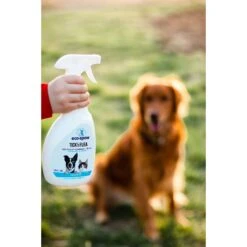 EcoSpaw Unscented Flea & Tick Dog & Cat Spray, 8-oz Bottle -Trixie || Catit || Nature's Miracle Shop 321809 PT4. AC SS1800 V1632805611