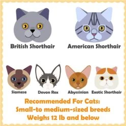 Yaheetech 63.5-in Plush Cat Tree & Condo 13 Yaheetech 63.5-in Plush Cat Tree & Condo -Trixie || Catit || Nature's Miracle Shop 325702 PT2. AC SS1800 V1686153350