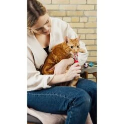 Hartz Delectables Squeeze Up Chicken Lickable Cat Treat -Trixie || Catit || Nature's Miracle Shop 332019 PT8. AC SS1800 V1632420099