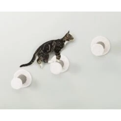 TRIXIE Cat Wall Mount Climbing Steps, 3 Count 8 TRIXIE Cat Wall Mount Climbing Steps, 3 Count -Trixie || Catit || Nature's Miracle Shop 333722 PT1. AC SS1800 V1634074289
