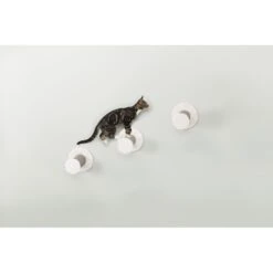 TRIXIE Cat Wall Mount Climbing Steps, 3 Count 10 TRIXIE Cat Wall Mount Climbing Steps, 3 Count -Trixie || Catit || Nature's Miracle Shop 333722 PT3. AC SS1800 V1634077309