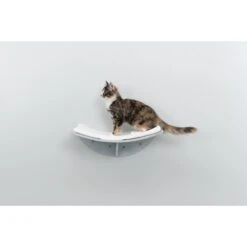 TRIXIE Lea Wall Mounted Cat Bed, X-Large 8 TRIXIE Lea Wall Mounted Cat Bed, X-Large -Trixie || Catit || Nature's Miracle Shop 333737 PT2. AC SS1800 V1634074890