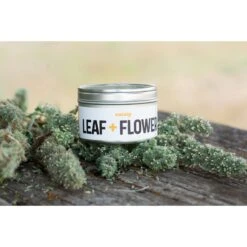 Litterbox.com Leaf & Flower Catnip, 1-oz Tin -Trixie || Catit || Nature's Miracle Shop 333915 PT5. AC SS1800 V1633534694
