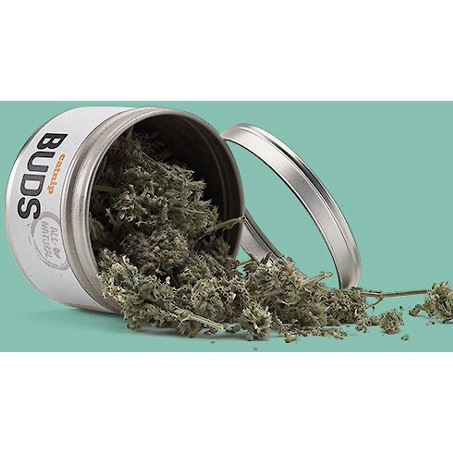 Litterbox.com Buds Catnip, 0.4-oz Tin 5 Litterbox.com Buds Catnip, 0.4-oz Tin - Image 3