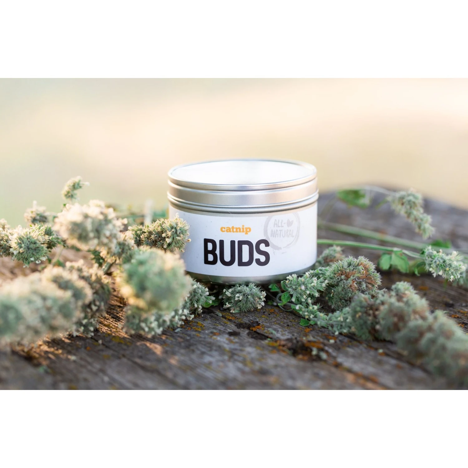 Litterbox.com Buds Catnip, 0.4-oz Tin 8 Litterbox.com Buds Catnip, 0.4-oz Tin - Image 6