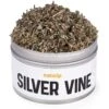 Litterbox.com Silver Vine Catnip, 1-oz Tin 1 Litterbox.com Silver Vine Catnip, 1-oz Tin -Trixie || Catit || Nature's Miracle Shop 333919 MAIN. AC SS1800 V1633533976