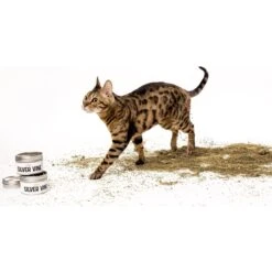 Litterbox.com Silver Vine Catnip, 1-oz Tin -Trixie || Catit || Nature's Miracle Shop 333919 PT3. AC SS1800 V1633534715
