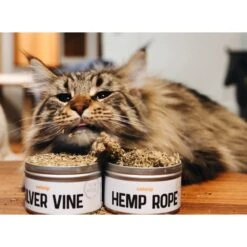 Litterbox.com Silver Vine Catnip, 1-oz Tin -Trixie || Catit || Nature's Miracle Shop 333919 PT5. AC SS1800 V1633534649