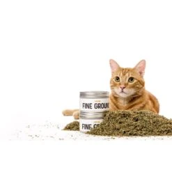 Litterbox.com Fine Ground Catnip, 1-oz Tin -Trixie || Catit || Nature's Miracle Shop 333921 PT2. AC SS1800 V1633534456