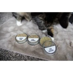 Litterbox.com Flight Catnip, 0.77-oz Tin, Case Of 3 -Trixie || Catit || Nature's Miracle Shop 333923 PT2. AC SS1800 V1633534393