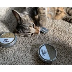 Litterbox.com Flight Catnip, 0.77-oz Tin, Case Of 3 -Trixie || Catit || Nature's Miracle Shop 333923 PT3. AC SS1800 V1633534491