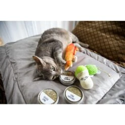 Litterbox.com Flight Catnip, 0.77-oz Tin, Case Of 3 -Trixie || Catit || Nature's Miracle Shop 333923 PT4. AC SS1800 V1633534462