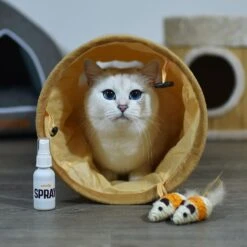 Litterbox.com Spray Catnip, 1-oz Bottle -Trixie || Catit || Nature's Miracle Shop 333925 PT4. AC SS1800 V1633534696