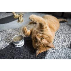 Litterbox.com Hemp Rope Catnip, 1-oz Tin -Trixie || Catit || Nature's Miracle Shop 333927 PT3. AC SS1800 V1633534424