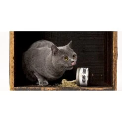 Litterbox.com Hemp Rope Catnip, 1-oz Tin -Trixie || Catit || Nature's Miracle Shop 333927 PT4. AC SS1800 V1633534585