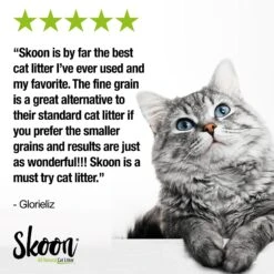 Skoon All Natural Fine-Grain Unscented Non-Clumping Cat Litter 12 Skoon All Natural Fine-Grain Unscented Non-Clumping Cat Litter -Trixie || Catit || Nature's Miracle Shop 333931 PT6. AC SS1800 V1633464812