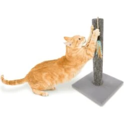 SmartyKat Simply Scratch Carpet Cat Scratch Post With Feather Cat Toy -Trixie || Catit || Nature's Miracle Shop 336393 PT4. AC SS1800 V1634310219