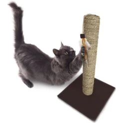 SmartyKat Simply Scratch Seagrass Cat Scratch Post With Feather Cat Toy -Trixie || Catit || Nature's Miracle Shop 336395 PT4. AC SS1800 V1634309494