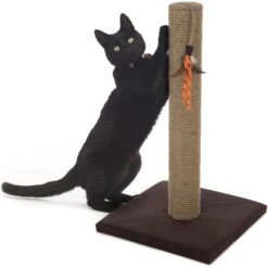 SmartyKat Simply Scratch Jute Cat Scratch Post With Feather Cat Toy 12 SmartyKat Simply Scratch Jute Cat Scratch Post With Feather Cat Toy -Trixie || Catit || Nature's Miracle Shop 336397 PT4. AC SS1800 V1634309564