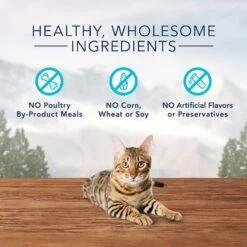 Blue Buffalo Wilderness High Protein Natural Grain-Free Chicken Mature Dry Cat Food & Blue Buffalo Wilderness Chicken Formula Crunchy Grain-Free Cat Treats 19 Blue Buffalo Wilderness High Protein Natural Grain-Free Chicken Mature Dry Cat Food & Blue Buffalo Wilderness Chicken Formula Crunchy Grain-Free Cat Treats -Trixie || Catit || Nature's Miracle Shop 338655 PT8. AC SS1800 V1635901145