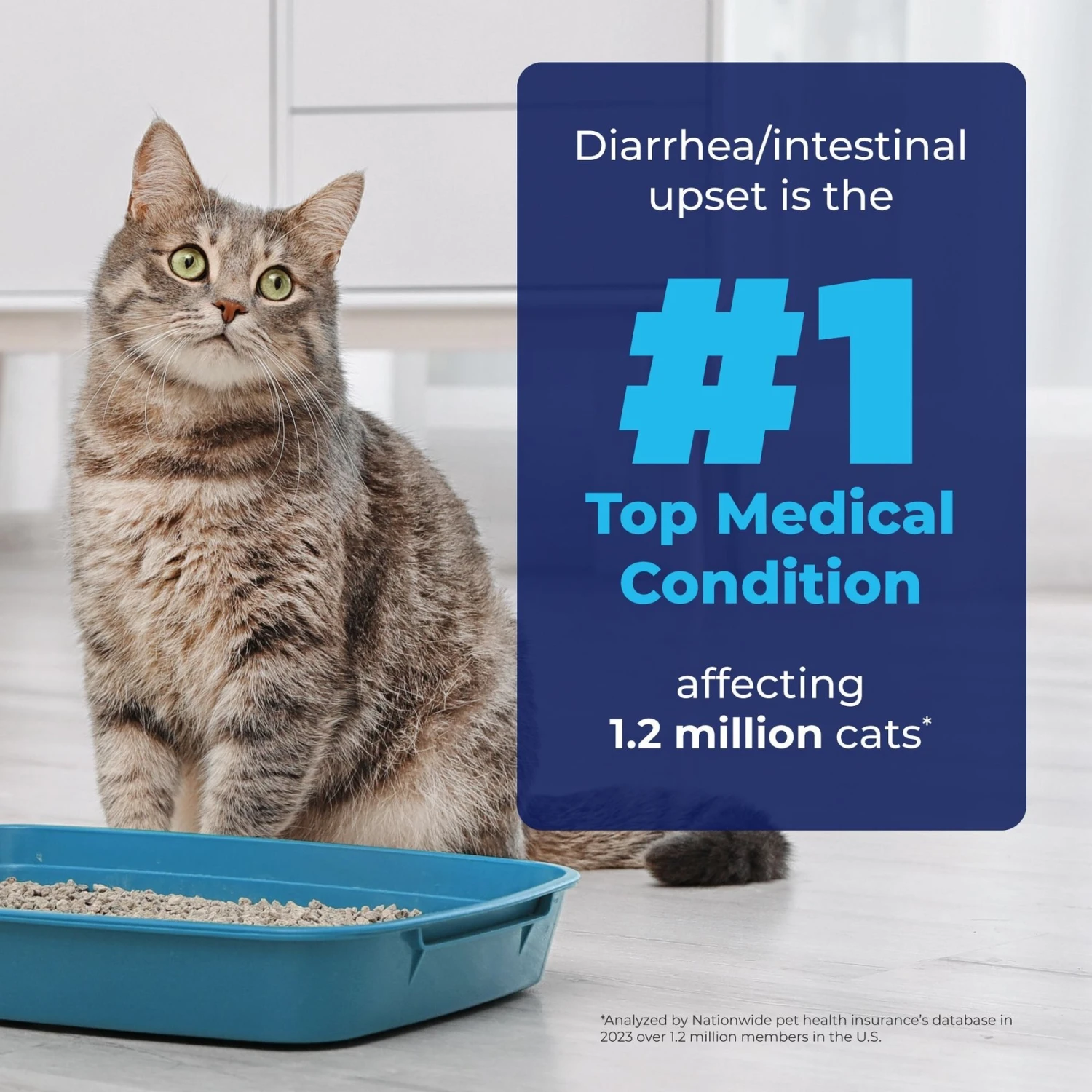 Vetnique Labs Glandex Tuna Flavored Powder Digestive Supplement For Cats 5 Vetnique Labs Glandex Tuna Flavored Powder Digestive Supplement For Cats - Image 3