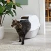 Frisco Modern Hooded Cat Litter Box -Trixie || Catit || Nature's Miracle Shop 341985 MAIN. AC SS1800 V1642605052