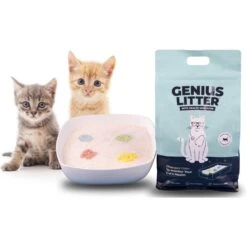 Alpha Paw Genius Litter With Health Indicator Cat Litter, 6-lbs -Trixie || Catit || Nature's Miracle Shop 344555 PT8. AC SS1800 V1667333254