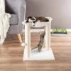 Pet Adobe 19-in Sisal Cat Tree & Condo 2 Pet Adobe 19-in Sisal Cat Tree & Condo -Trixie || Catit || Nature's Miracle Shop 345039 MAIN. AC SS1800 V1637286789