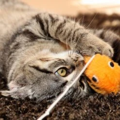 Pet Adobe Foldable Cat Activity Center 12 Pet Adobe Foldable Cat Activity Center -Trixie || Catit || Nature's Miracle Shop 345044 PT4. AC SS1800 V1637282815