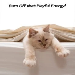 Pet Adobe Interactive 19-in Sisal Cat Scratching Post 15 Pet Adobe Interactive 19-in Sisal Cat Scratching Post -Trixie || Catit || Nature's Miracle Shop 345048 PT5. AC SS1800 V1637282265