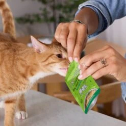 Tiny Tiger Lickables Stew Variety Pack Cat Treat & Topper 15 Tiny Tiger Lickables Stew Variety Pack Cat Treat & Topper -Trixie || Catit || Nature's Miracle Shop 345124 PT5. AC SS1800 V1697054636